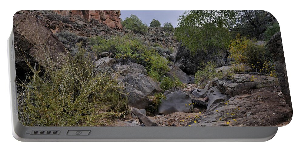 Landscape Portable Battery Charger featuring the photograph In The Arroyo  by Ron Cline