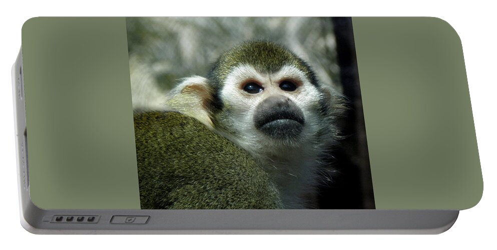 Monkey Portable Battery Charger featuring the photograph In Thought by Kim Galluzzo Wozniak