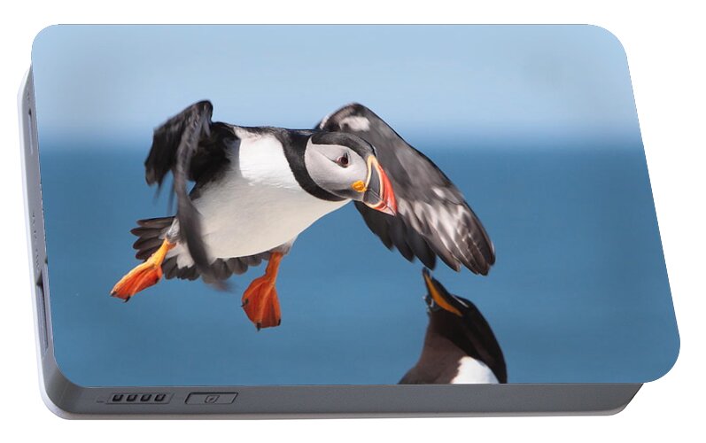 Puffin Portable Battery Charger featuring the photograph Incoming by Bruce J Robinson