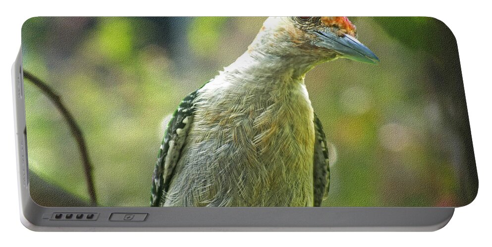 Nature Portable Battery Charger featuring the photograph Inquisitive Woodpecker by Debbie Portwood