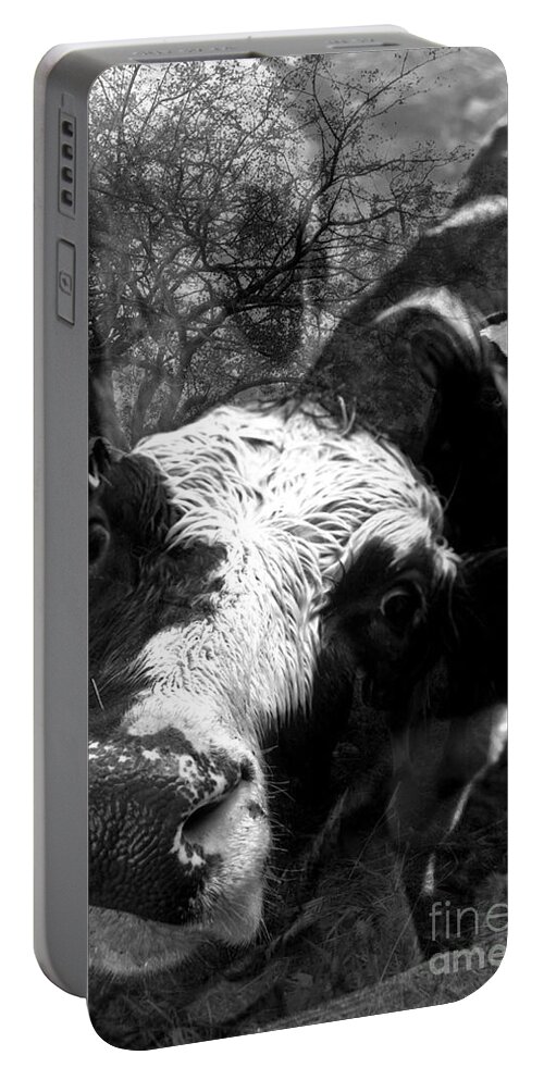 Agriculture Greeting Cards Portable Battery Charger featuring the photograph Inquisitive Zoey with EllaMay by Danielle Summa