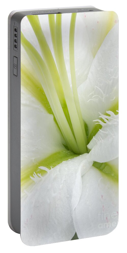 Lily Portable Battery Charger featuring the photograph Inside a White Lily by Ann Garrett