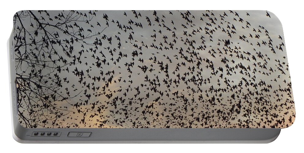 Starlings Portable Battery Charger featuring the photograph Invasion Of The Birds by Kim Galluzzo