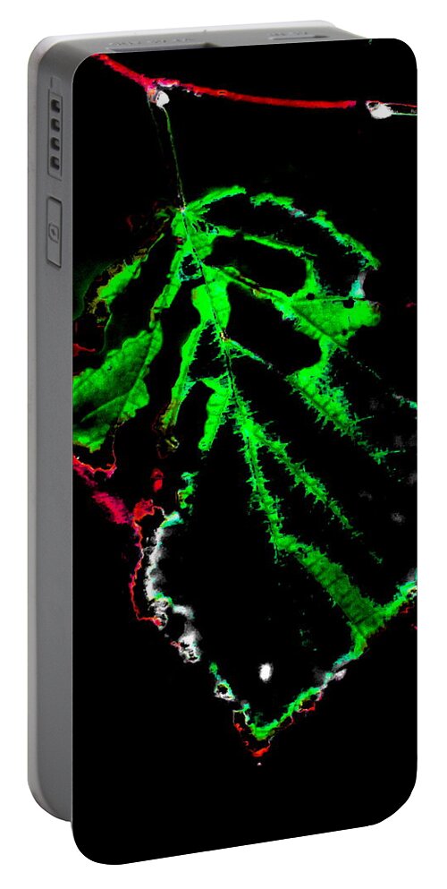 Abstract Portable Battery Charger featuring the photograph Its A Holiday by Burney Lieberman