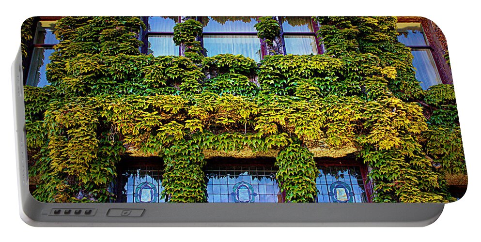 Ivy Portable Battery Charger featuring the photograph Ivy Windows - Digital Art by Carol Groenen