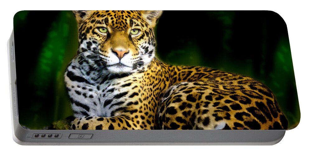 Animal Portable Battery Charger featuring the photograph Jaguar by Jarrod Erbe