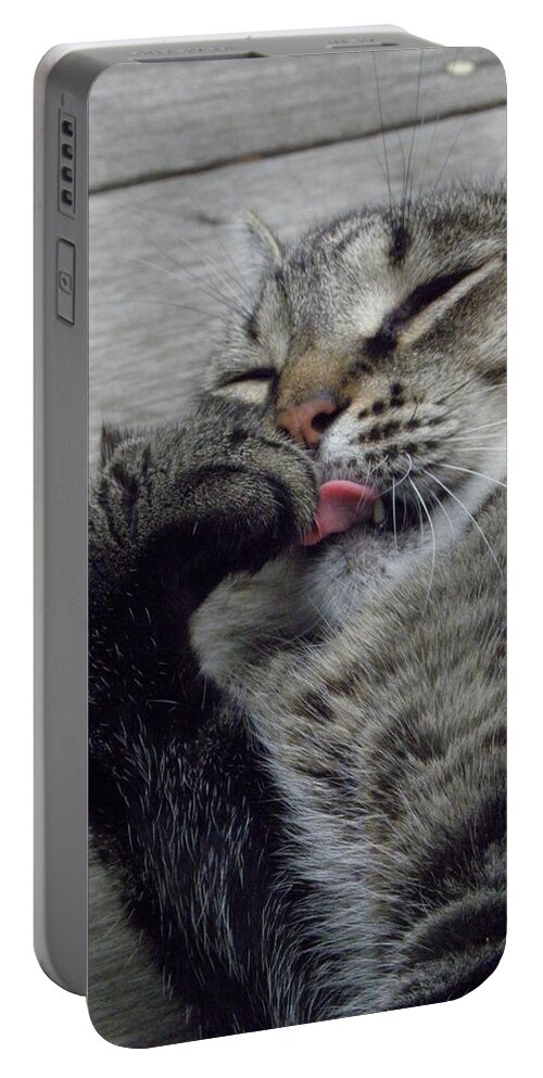 Cat Portable Battery Charger featuring the photograph Just A Lil Lick by Kim Galluzzo