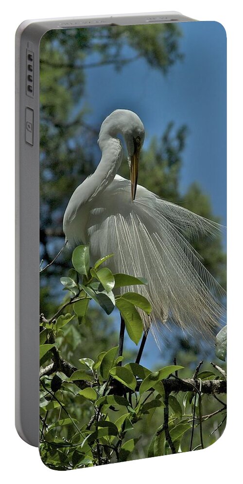 Florida Portable Battery Charger featuring the photograph Just So by Joseph Yarbrough