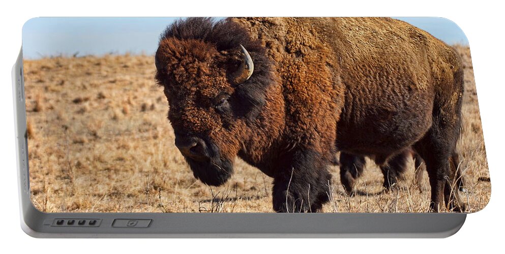 Kansas Portable Battery Charger featuring the photograph Kansas Buffalo by Alan Hutchins