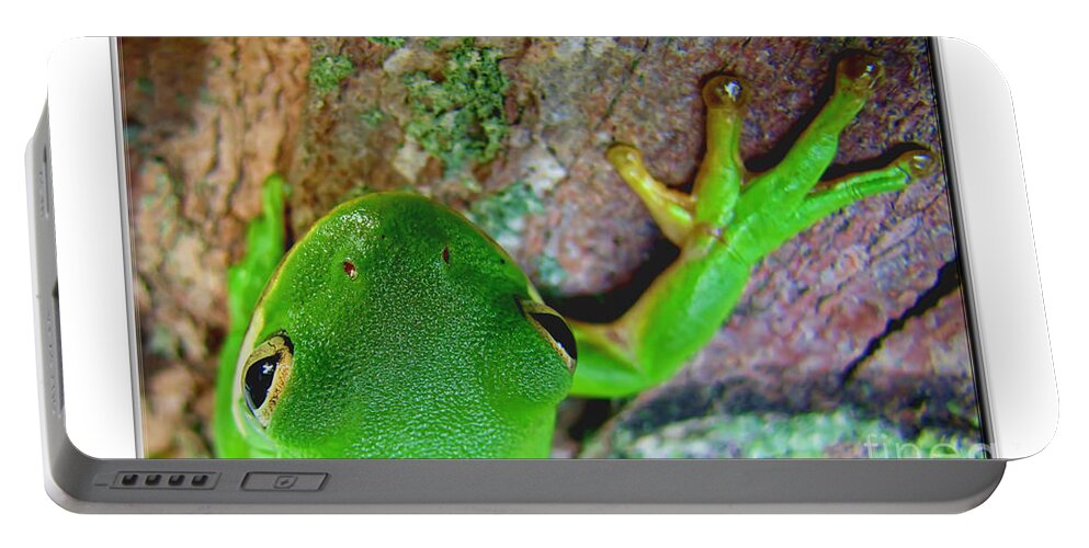 Nature Portable Battery Charger featuring the photograph Kermit's Kuzin by Debbie Portwood