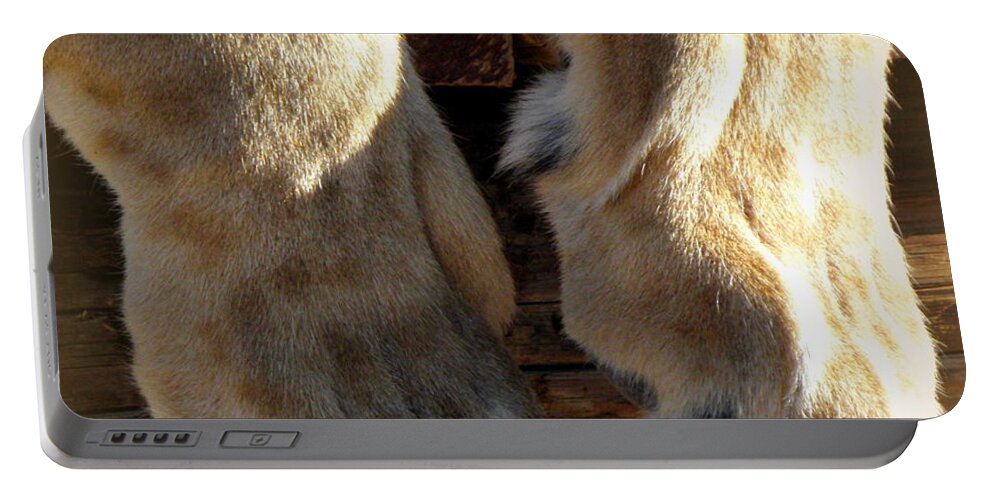 Lion Portable Battery Charger featuring the photograph Kitty Paws by Kim Galluzzo
