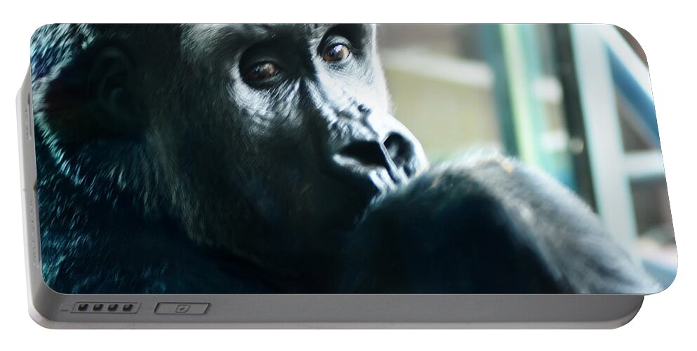 Kivu The Gorilla Portable Battery Charger featuring the photograph Kivu the Gorilla by Bill Cannon