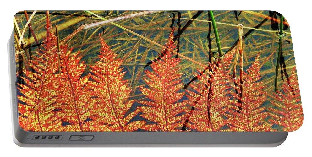 New Zealand Portable Battery Charger featuring the photograph Lagoon Fern by Michele Penner