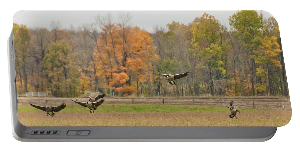 Geese Portable Battery Charger featuring the photograph Landing by Cheryl Baxter