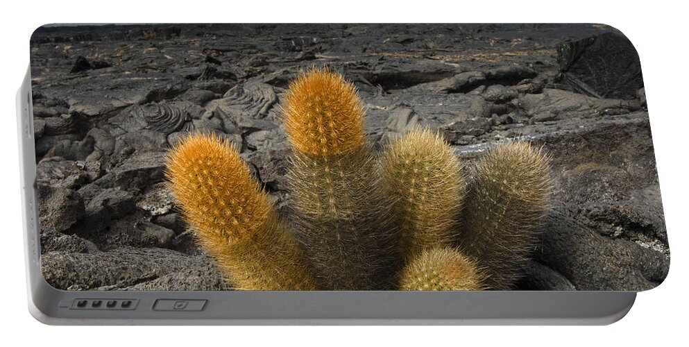 Mp Portable Battery Charger featuring the photograph Lava Cactus Brachycereus Nesioticus by Pete Oxford