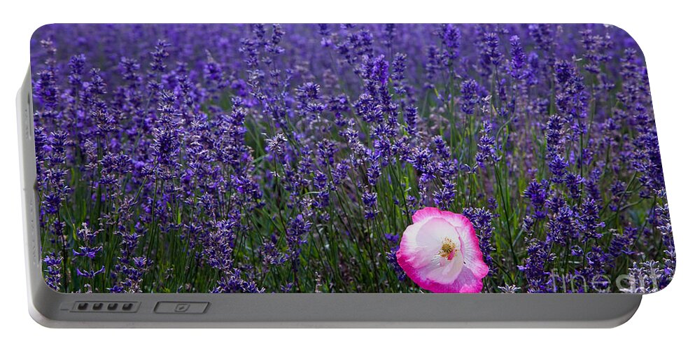  Abundance Portable Battery Charger featuring the photograph Lavender field with poppy by Simon Bratt