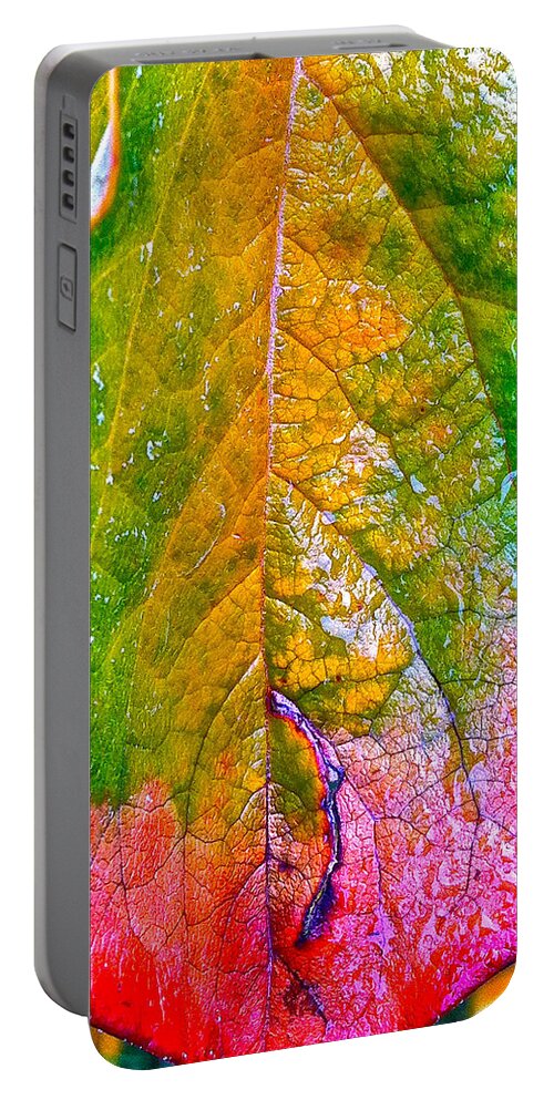 Leaves Portable Battery Charger featuring the photograph Leaf 2 by Bill Owen