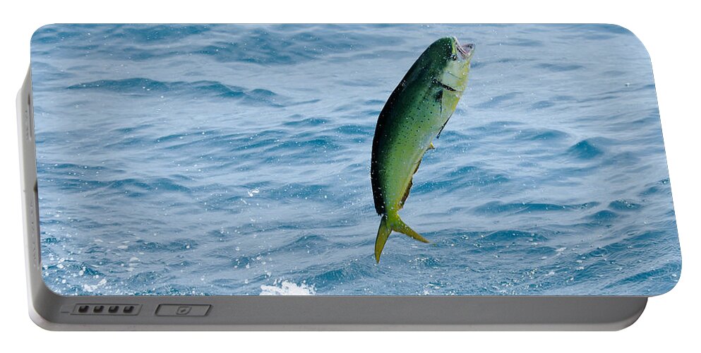 Fish Portable Battery Charger featuring the photograph Leaping Mahi by Bradford Martin