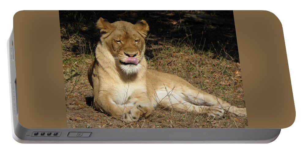 Lion Portable Battery Charger featuring the photograph Licking Lips by Kim Galluzzo