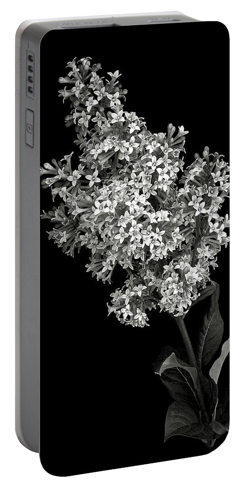 Flower Portable Battery Charger featuring the photograph Lilac in Black and White by Endre Balogh