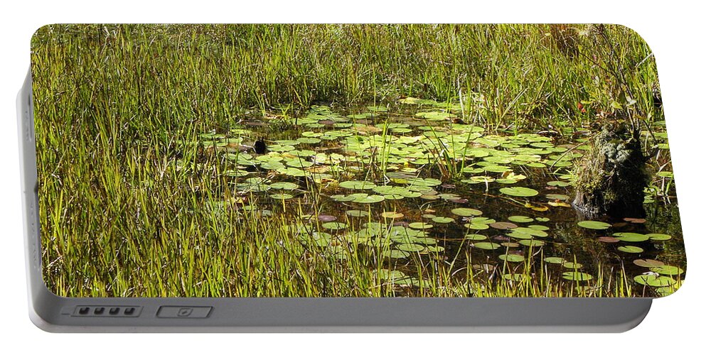 Lily Portable Battery Charger featuring the photograph Lily Pads by Kim Galluzzo