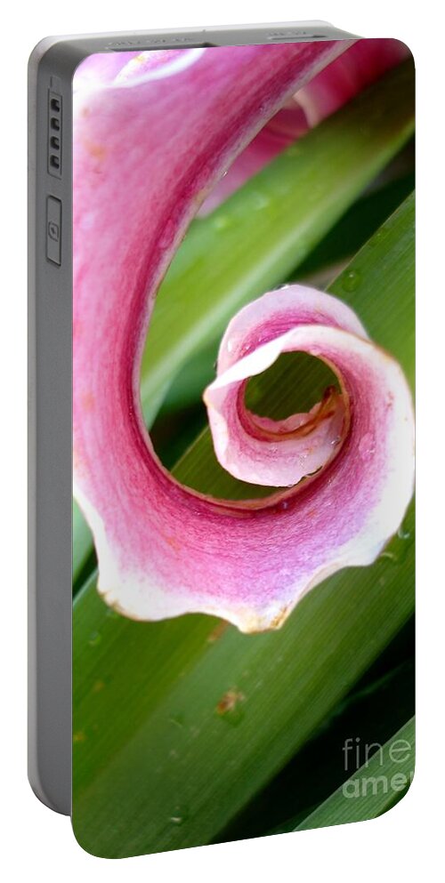Lily Portable Battery Charger featuring the photograph Lily Spiral by Kerri Mortenson