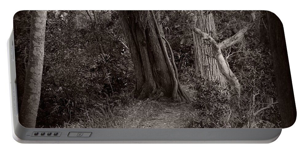 Forest Portable Battery Charger featuring the photograph Lost in the Forest by Sharon Mau