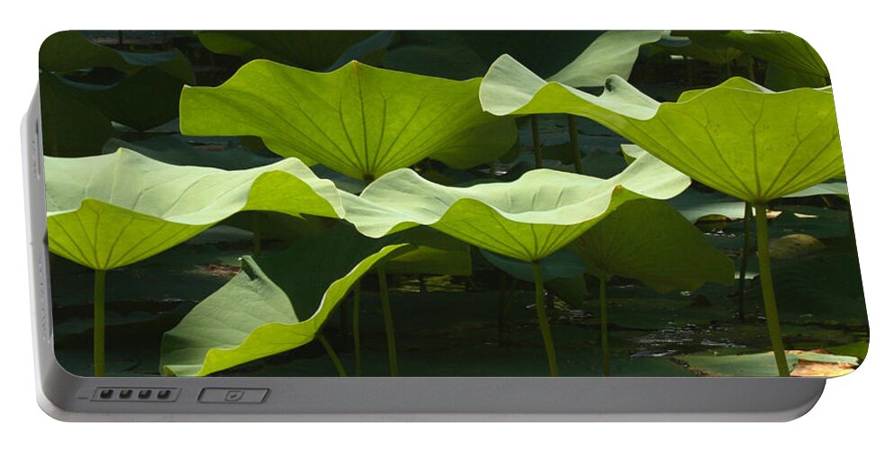 00429853 Portable Battery Charger featuring the photograph Lotus Lily Leaves In Pond Waimea Valley by Sebastian Kennerknecht
