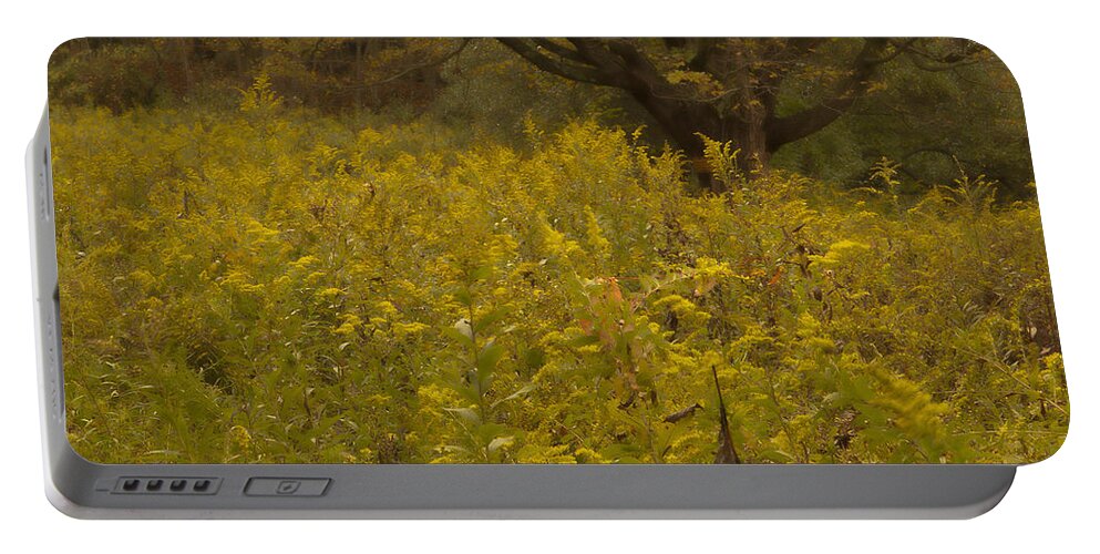 Landscape Portable Battery Charger featuring the photograph Luminous Meadow by Fran Gallogly