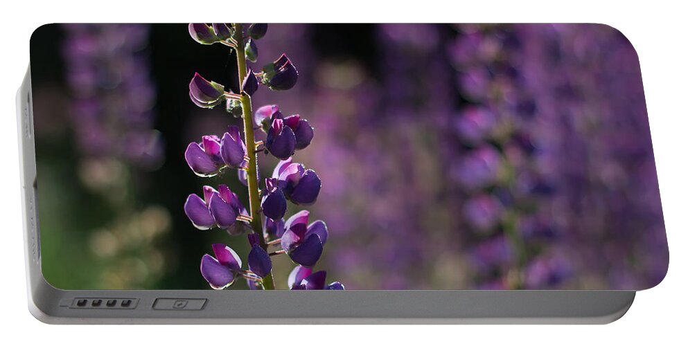 Canada Portable Battery Charger featuring the photograph Lupines by Jakub Sisak