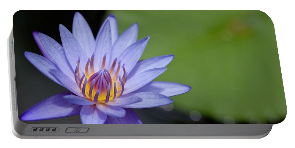 Hawaii Portable Battery Charger featuring the photograph Lyon Arboretum Water Lily by Dan McManus