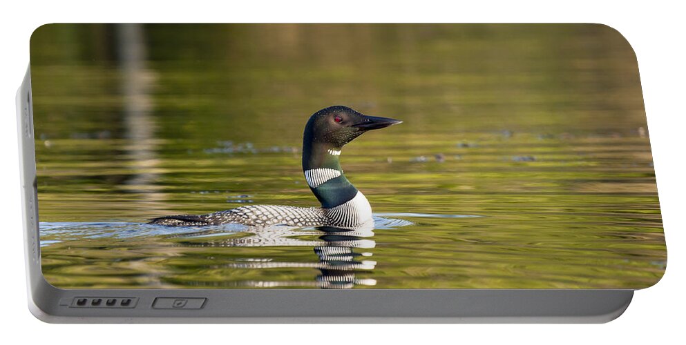 Maine Portable Battery Charger featuring the photograph Maine Loon 7 by Glenn Gordon