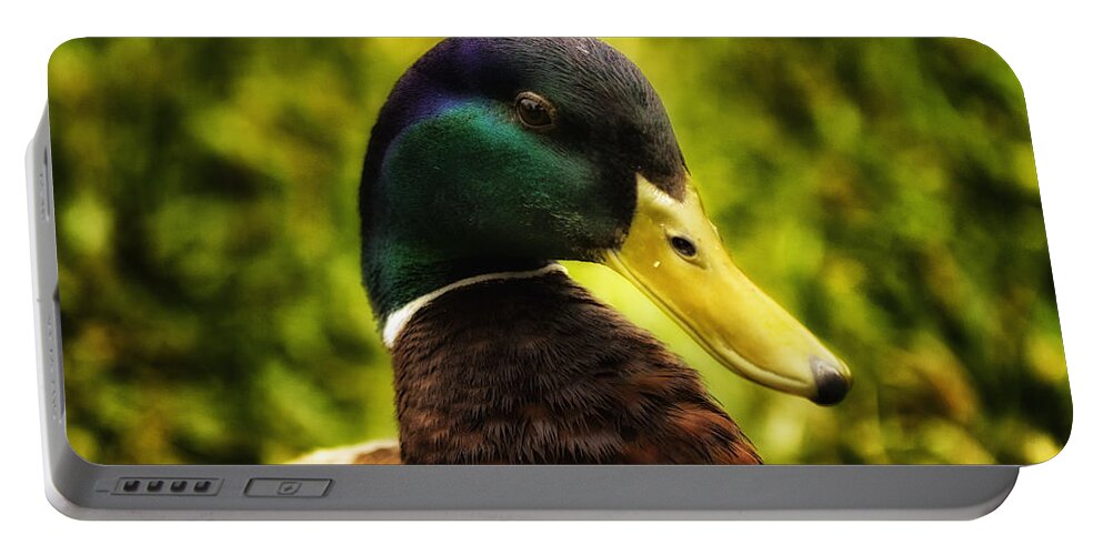 Duck Portable Battery Charger featuring the photograph Male Mallard Duck by Linda Tiepelman