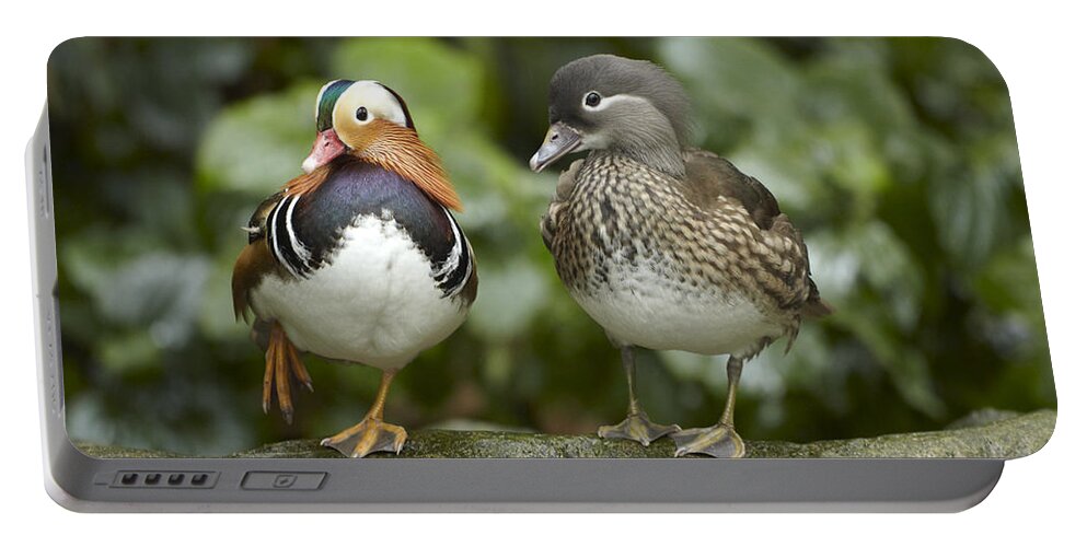 00486940 Portable Battery Charger featuring the photograph Mandarin Duck Male And Female Jurong by Tim Fitzharris