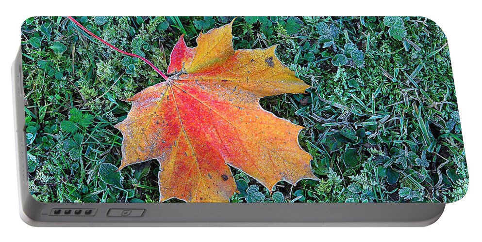 Autumn Portable Battery Charger featuring the photograph Maple Leaf by Hannes Cmarits