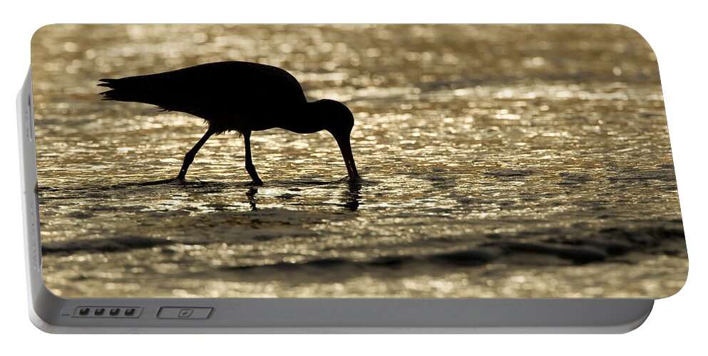 00429701 Portable Battery Charger featuring the photograph Marbled Godwit Foraging At Sunset by Sebastian Kennerknecht