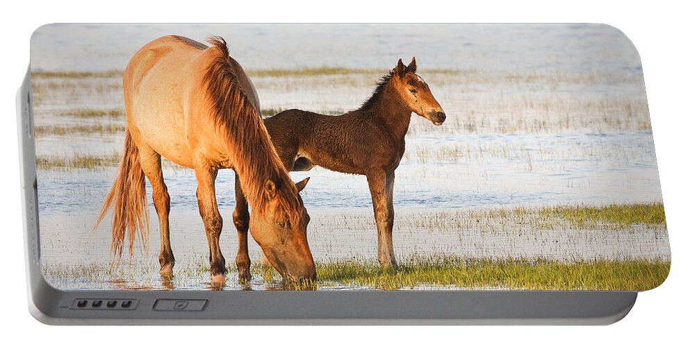 Wild Portable Battery Charger featuring the photograph Mare and Foal by Bob Decker
