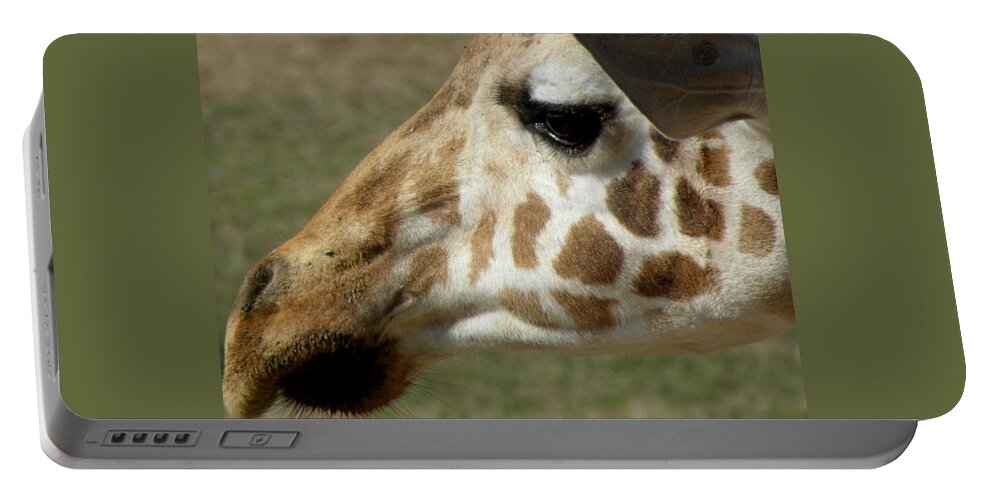 Giraffe Portable Battery Charger featuring the photograph Marks Of Beauty by Kim Galluzzo Wozniak
