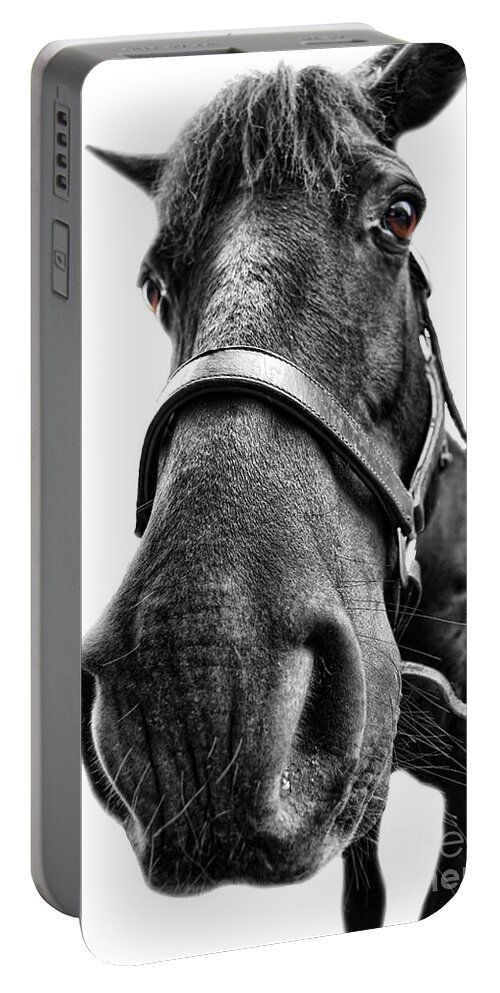 Yhun Suarez Portable Battery Charger featuring the photograph Me So Horsey by Yhun Suarez