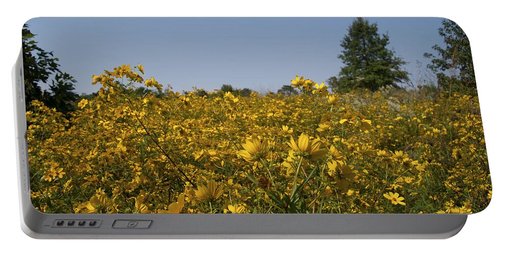 Landscape Portable Battery Charger featuring the photograph Meadow at Terapin Park by Charles Kraus