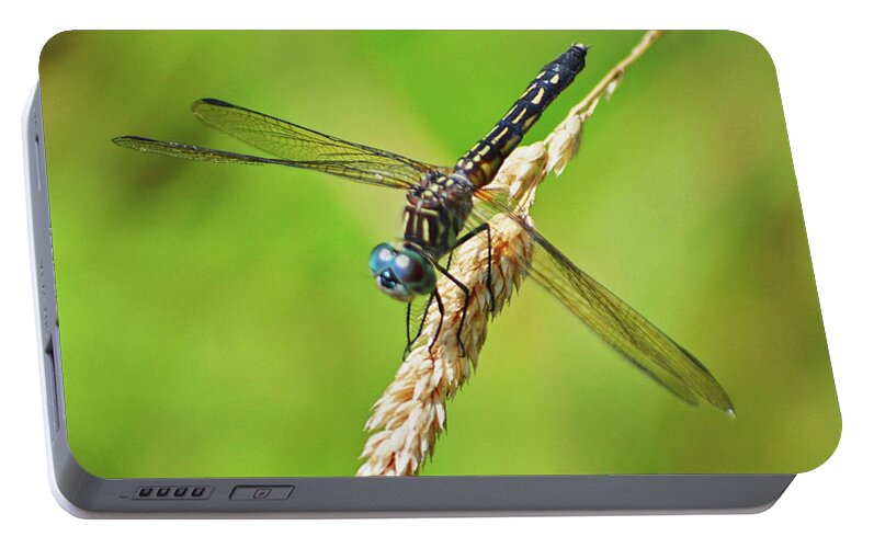 Dragonfly Portable Battery Charger featuring the photograph Meadowhawk by Rodney Campbell