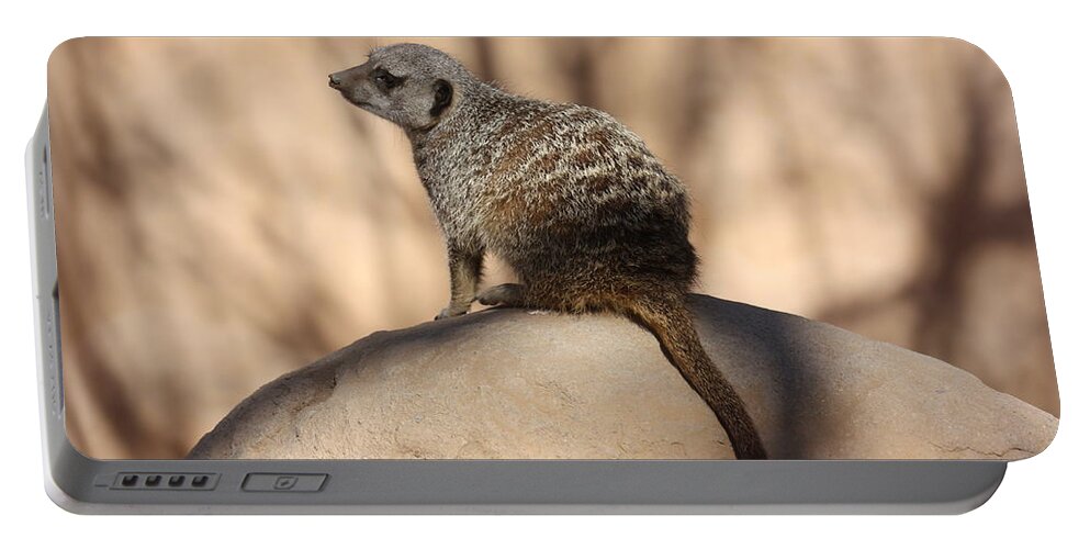 Meerkat Portable Battery Charger featuring the photograph Meerkat Manor by Kim Galluzzo Wozniak