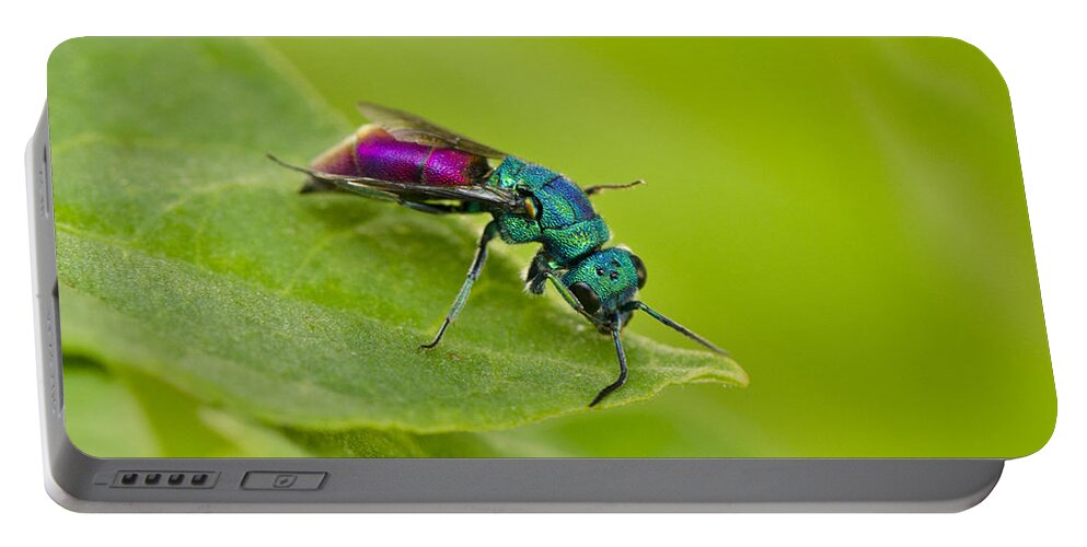 Metalic Portable Battery Charger featuring the photograph Metalic insect by Perry Van Munster