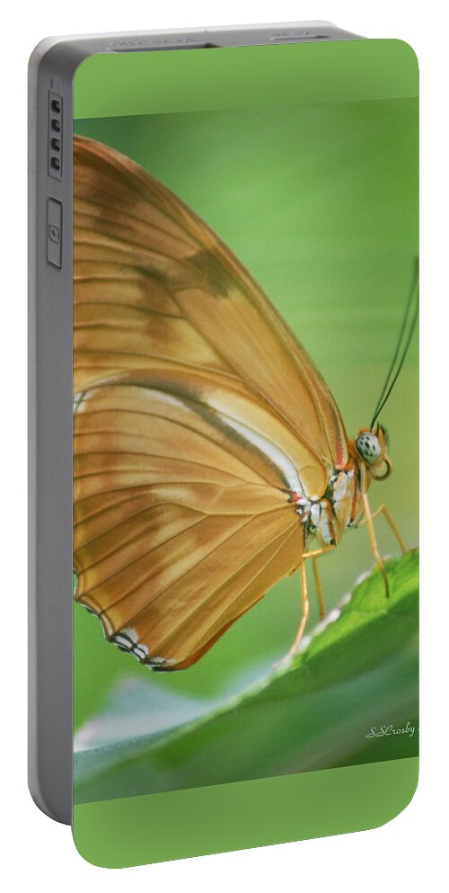 Julia Butterfly Portable Battery Charger featuring the photograph Miss Julia by Susan Stevens Crosby