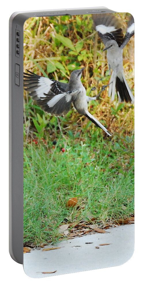 Bird Portable Battery Charger featuring the photograph Mockingbird Fight Club by Beth Gates-Sully