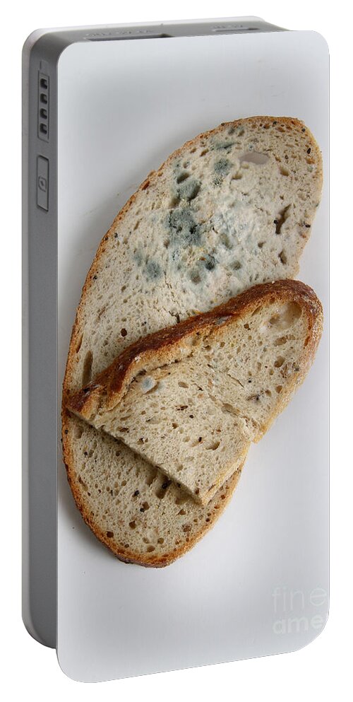 Moldy Bread by Photo Researchers