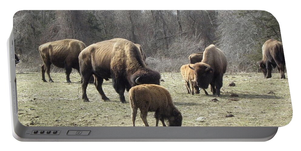 Buffalo Portable Battery Charger featuring the photograph Moms and Babies by Kim Galluzzo