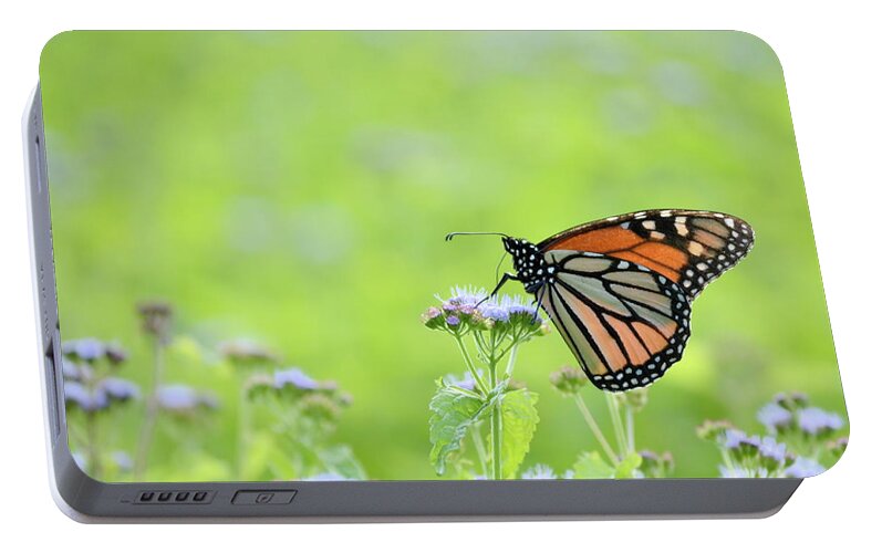 Orange Portable Battery Charger featuring the photograph Monarch and Mist by JD Grimes