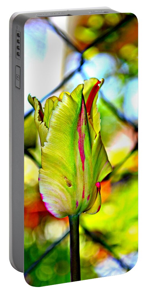 Parrot Tulip Portable Battery Charger featuring the photograph Mood Swing by Diane montana Jansson