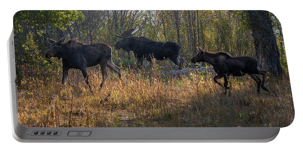 2012 Portable Battery Charger featuring the photograph Moose Family by Ronald Lutz